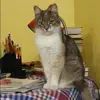 Отзыв от Оля Самойлова